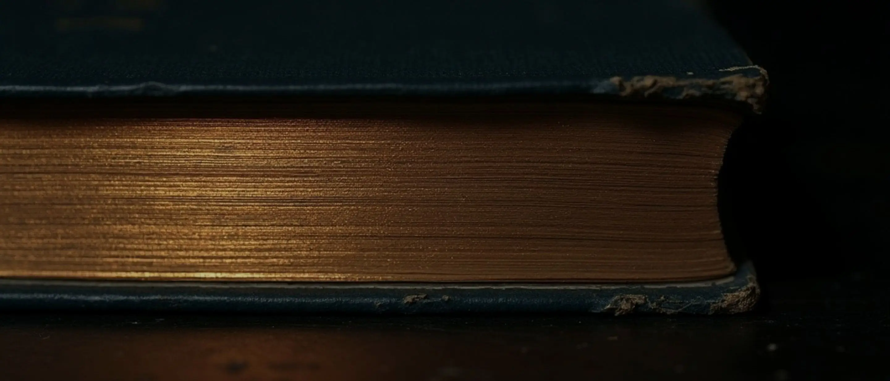 Macro of a ledger's gilded page edges catching warm light in the dark